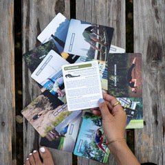 Yoga Cards · Cartas de Yoga Terapéutico y Asanas Guiadas - Portalyoga